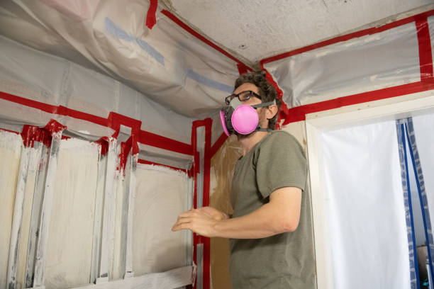 Best Attic Mold Removal  in The College Of New Jersey, NJ