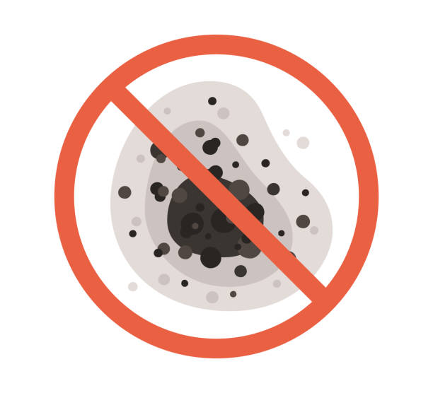 Forensic Mold Investigation in The College Of New Jersey, NJ