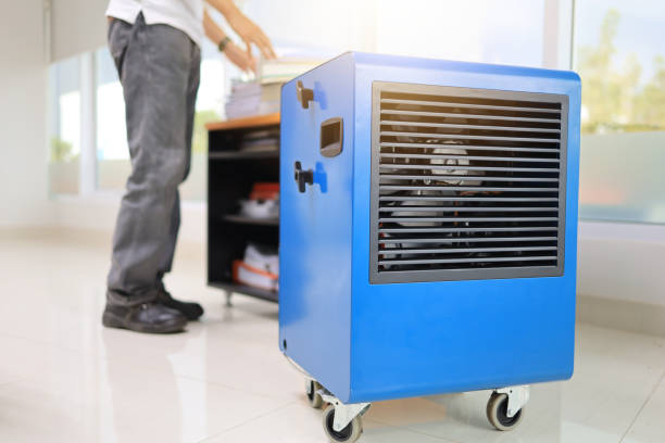Best Mold Documentation for Insurance Claims  in The College Of New Jersey, NJ