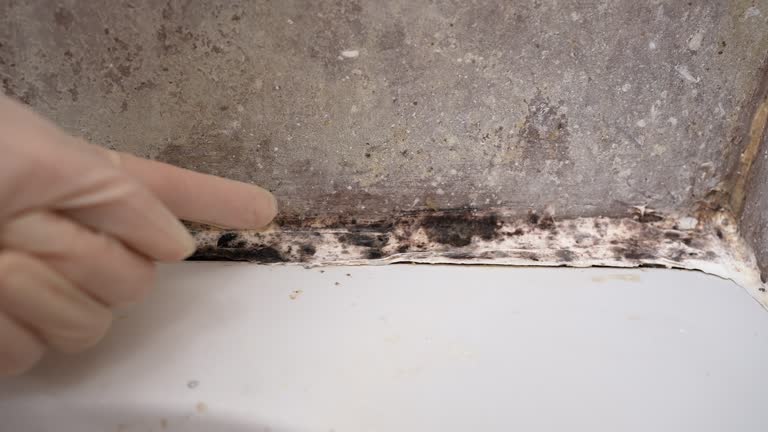 Best Water Damage & Mold Remediation  in The College Of New Jersey, NJ